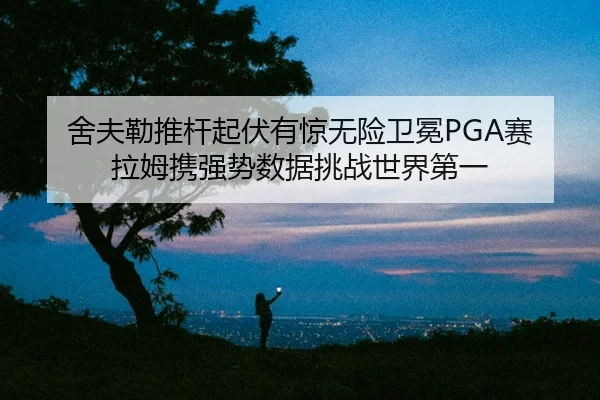 she-fu-lei-tui-gan-qi-fu-you-jing-wu-xian-wei-mian-sai-la-mu-xie-qiang-shi-shu-ju-tiao-zhan-shi-jie-di-yi-2-649.jpg