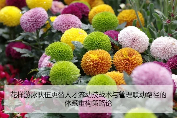 花样游泳队伍更替人才流动技战术与管理联动路径的体系重构策略论